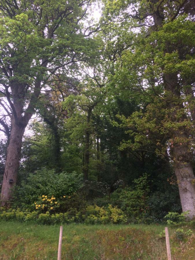 Claremont House Keswick Bed & Breakfast Keswick  Bagian luar foto