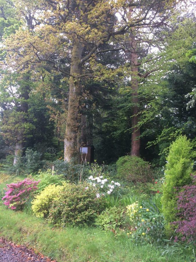 Claremont House Keswick Bed & Breakfast Keswick  Bagian luar foto